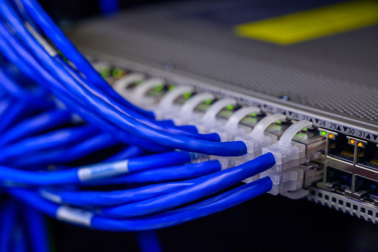Services Detailed view of blue ethernet cables connected to a network switch in a data center.
